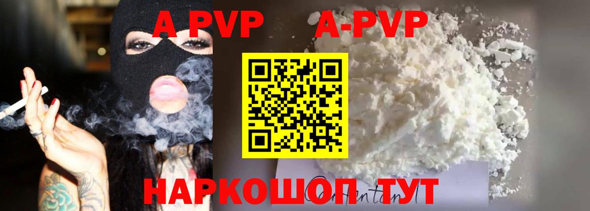 A PVP СК КРИС Гудермес