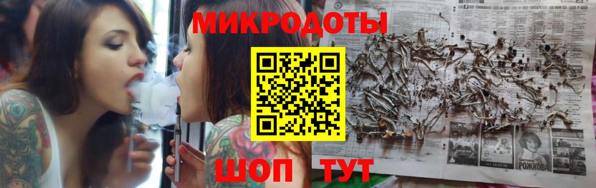 Галлюциногенные грибы Psilocybe Гудермес