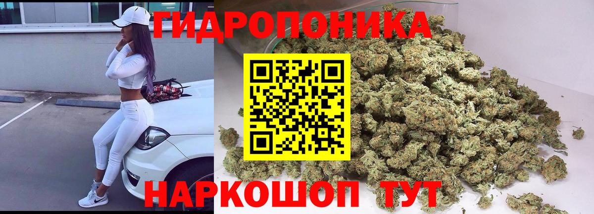 Каннабис гибрид Гудермес
